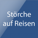 Störche auf Reisen